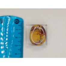 Mokkait marokkő lapos