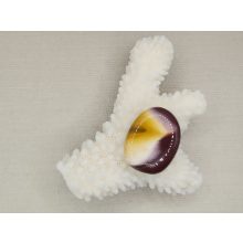 Mokkait marokkő lapos