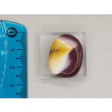 Mokkait marokkő lapos