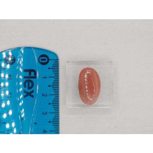 Napkő marokkő extra