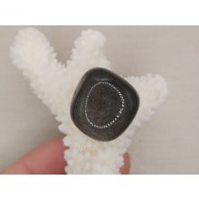 Arany Obszidián marokkő 