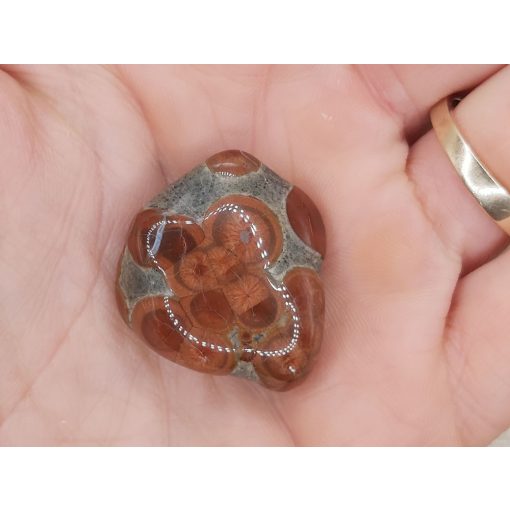 Mogyoró Obszidián marokkő 