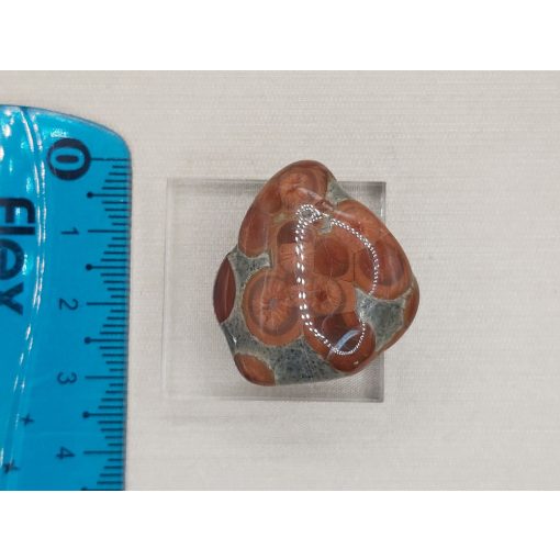 Mogyoró Obszidián marokkő 