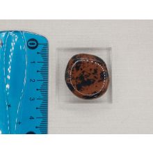 Mahagóni Obszidián marokkő lapos 