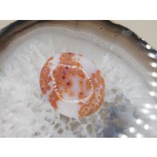 Óceán jáspis marokkő