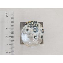 Óceán jáspis marokkő