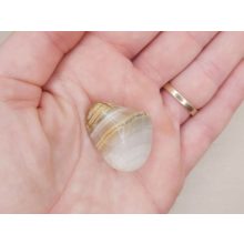 Onixmárvány marokkő