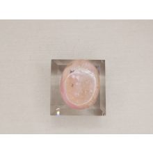 Andokopál marokkő lapos kicsi