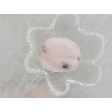 Andokopál marokkő lapos kicsi