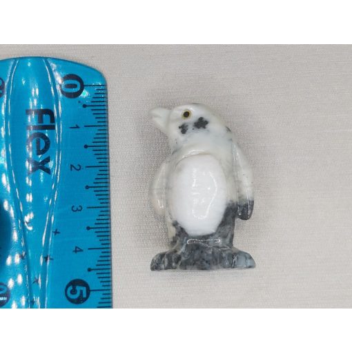 Pingvin zsírkő állat