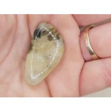 Prehnit marokkő véletlenszerűen