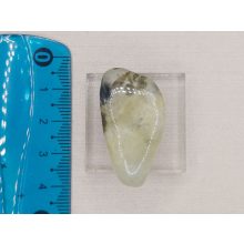 Prehnit marokkő véletlenszerűen