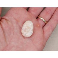 Pink Skolecit marokkő