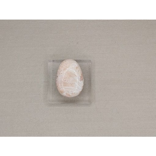 Pink Skolecit marokkő