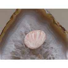 Pink Skolecit marokkő