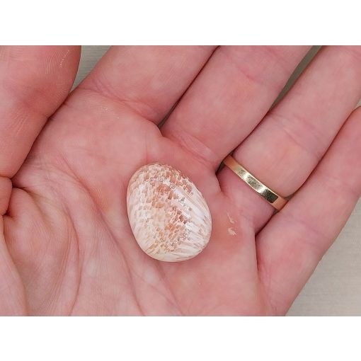 Pink Skolecit marokkő