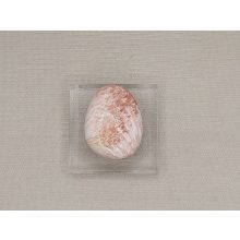 Pink Skolecit marokkő