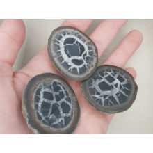 Szeptária félbe vágott csiszolat