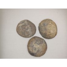 Szeptária félbe vágott csiszolat