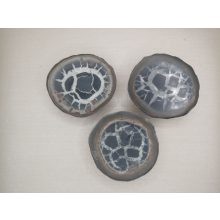 Szeptária félbe vágott csiszolat