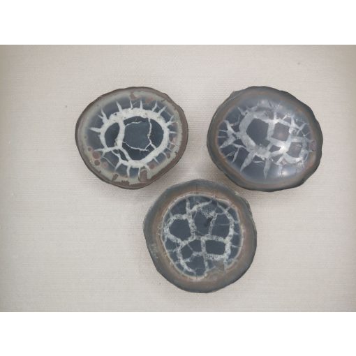 Szeptária félbe vágott csiszolat