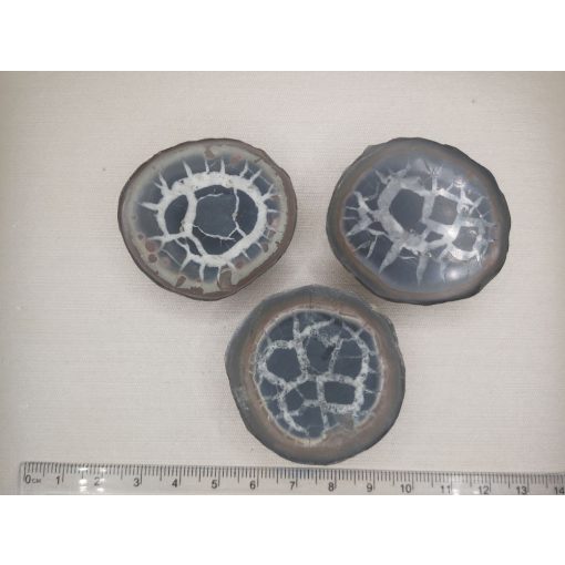 Szeptária félbe vágott csiszolat