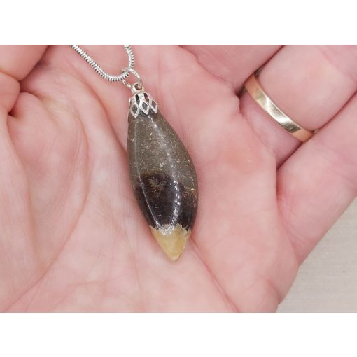 Szeptária medál kaboson 