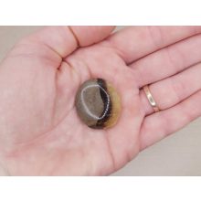 Szeptária marokkő lapos 