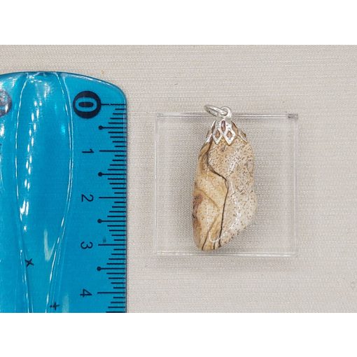 Tájkép jáspis medál 