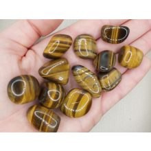 Tigrisszem marokkő kicsi véletlenszerűen