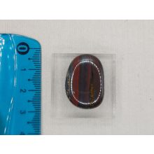 Tigrisvas marokkő lapos kicsi 