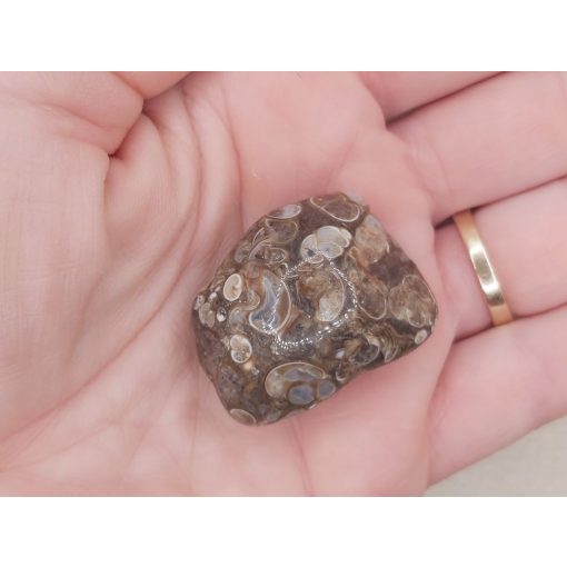 Turitella jáspis marokkő nagy