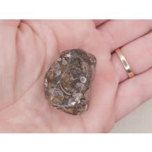 Turitella jáspis marokkő nagy