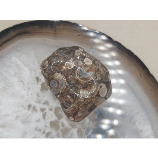 Turitella jáspis marokkő nagy