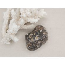 Turitella jáspis marokkő nagy