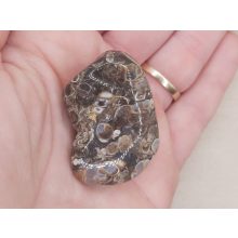 Turitella jáspis marokkő nagy