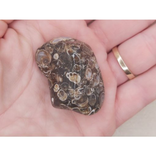 Turitella jáspis marokkő nagy