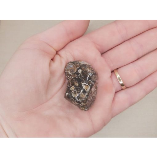 Turitella jáspis marokkő nagy