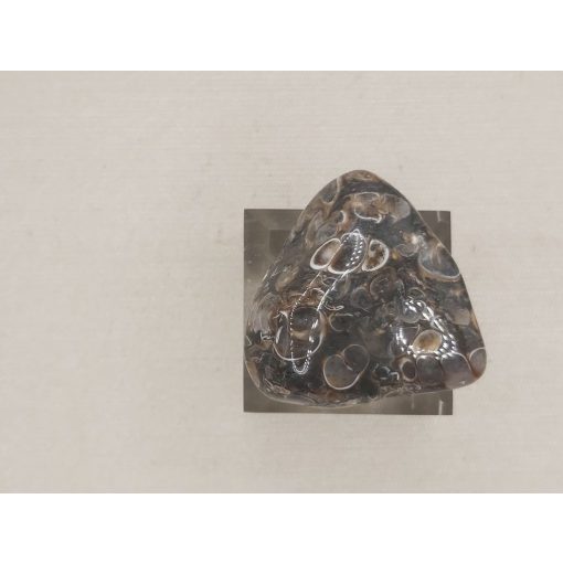 Turitella jáspis marokkő 