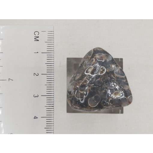 Turitella jáspis marokkő 