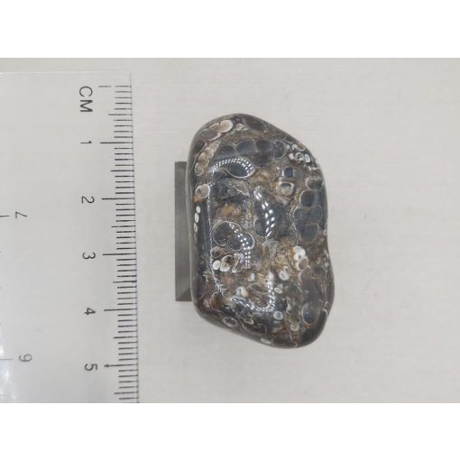 Turitella jáspis marokkő 