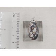 Turitella jáspis medál kaboson