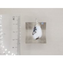 Zebra jáspis medál