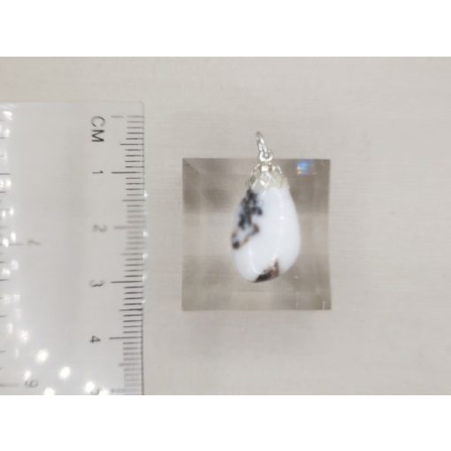 Zebra jáspis medál